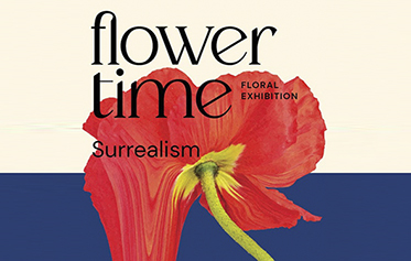 Flowertime 2023, el evento floral que inunda de color el ayuntamiento de Bruselas